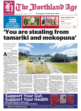 Cover of The Northland Age