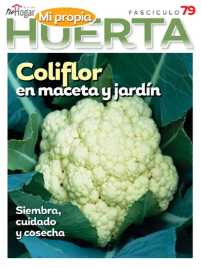 Cover of Huerta en casa