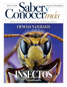 Cover of Saber y Conocer mas