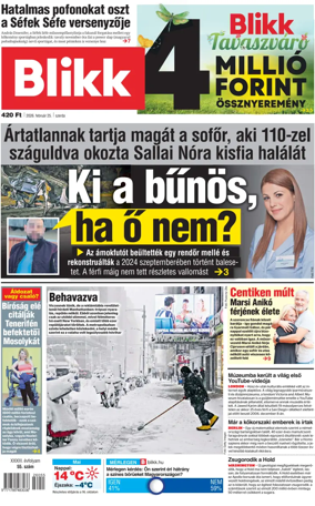 Cover of Blikk