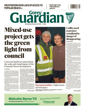 Cover of Gorey Guardian