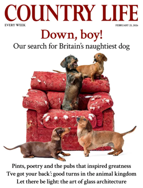 Cover of Country Life