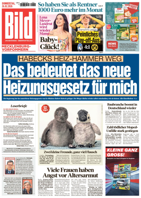 Cover of BILD Mecklenburg