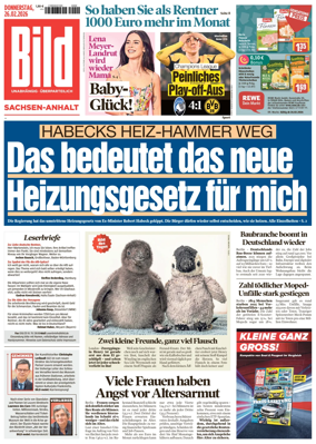 Cover of BILD Sachsen-Anhalt