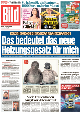 Cover of Bild