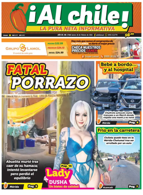 Cover of Al chile