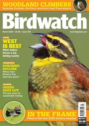 Cover of Birdwatch