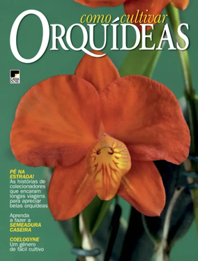 Cover of Como Cultivar Orquideas