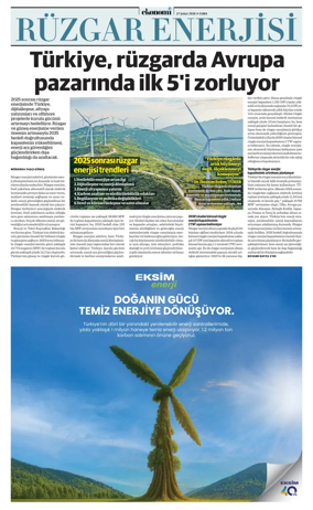 Cover of NBE - Sektor Ekleri