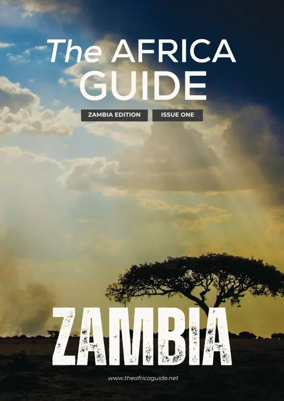 Cover of The Africa Guide