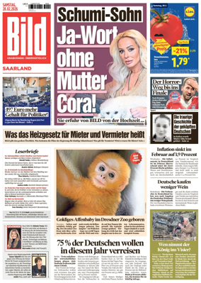 Cover of BILD Saarland