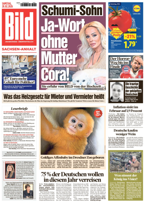 Cover of BILD Sachsen-Anhalt