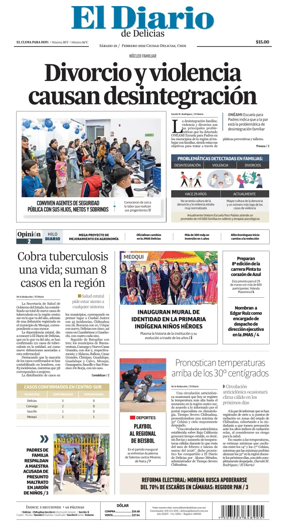 Cover of El Diario de Delicias