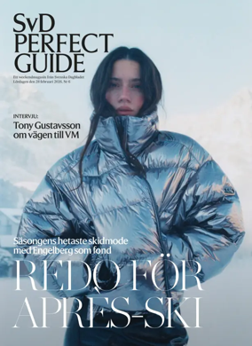 Cover of SvD Perfect Guide