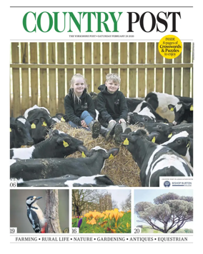 Cover of Country Week