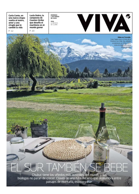 Cover of Viva