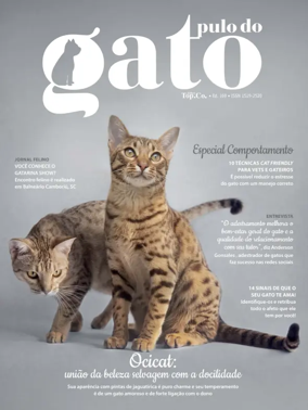 Cover of Pulo do gato