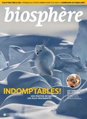 Cover of Biosphere