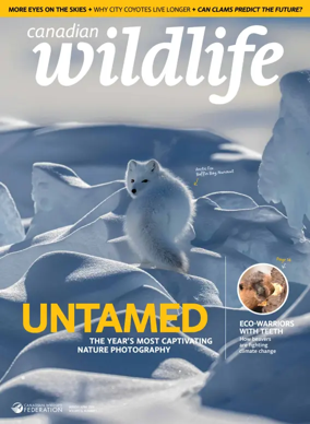 Cover of Canadian Wildlife