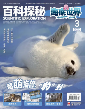 Cover of Explore More on Sea