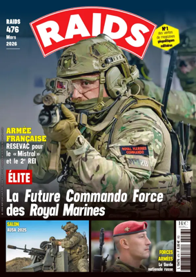 Cover of RAIDS