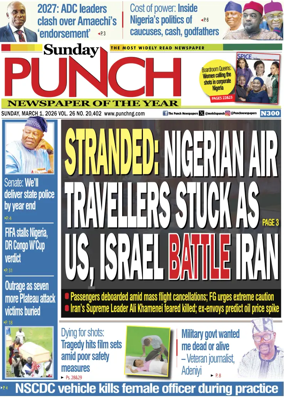 Cover of Sunday Punch