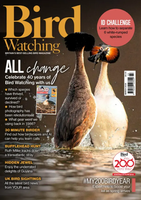 Cover of Bird Watching (UK)