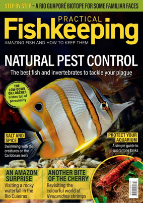 Cover of Practical Fishkeeping