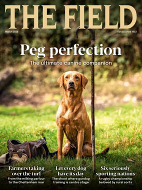 Cover of The Field