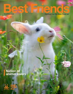 Cover of Best Friends