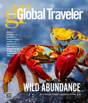 Cover of Global Traveler