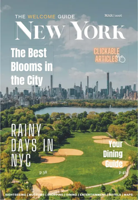 Cover of The Welcome Guide New York