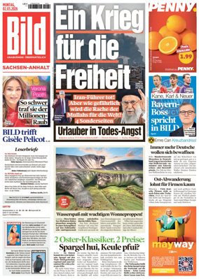 Cover of BILD Sachsen-Anhalt