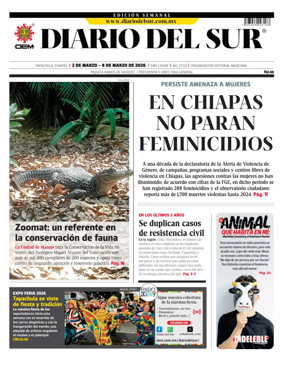 Cover of Diario del Sur