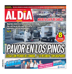 Cover of Periodico Al Dia (Celaya)