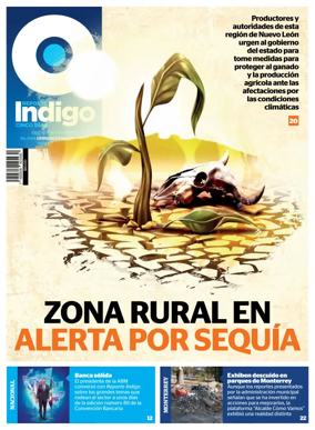 Cover of Reporte Indigo Monterrey
