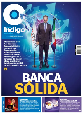 Cover of Reporte Indigo Nacional