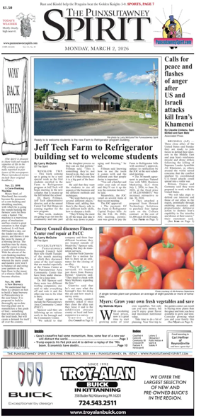 Cover of The Punxsutawney Spirit