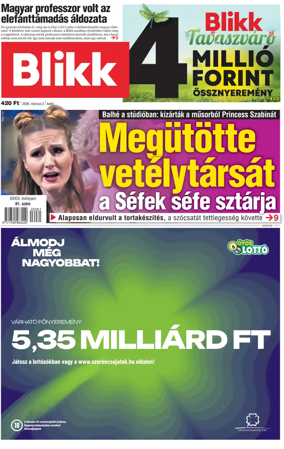 Cover of Blikk