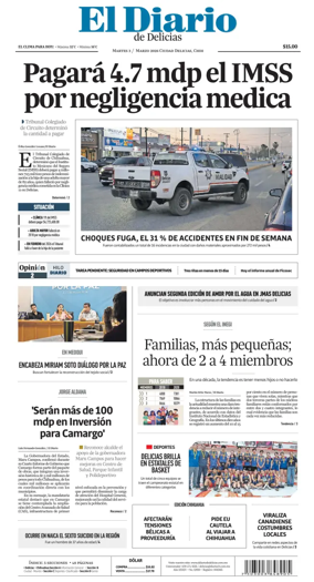 Cover of El Diario de Delicias