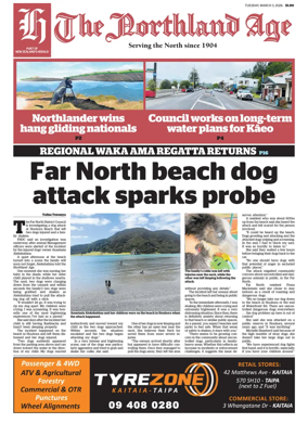 Cover of The Northland Age