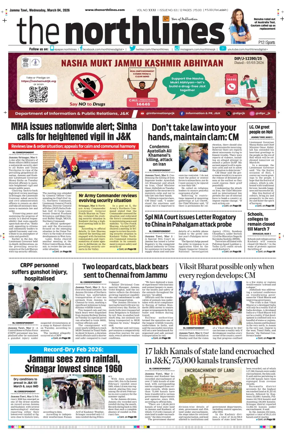 Cover of The Northlines