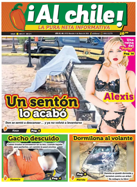 Cover of Al chile