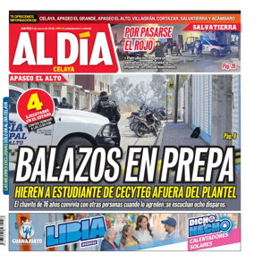 Cover of Periodico Al Dia (Celaya)