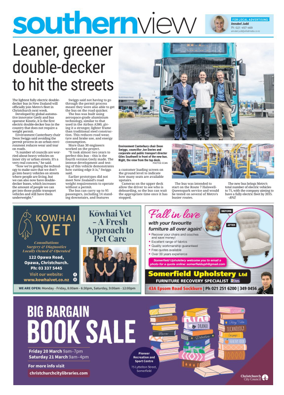 Cover of Southern View