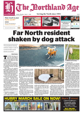 Cover of The Northland Age