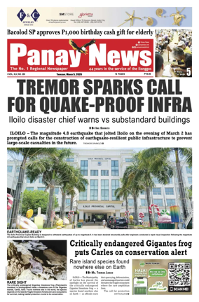 Cover of Panay News