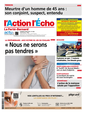 Cover of l'Action l'Echo (La Ferte-Bernard)
