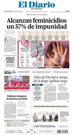 Cover of El Diario de Delicias