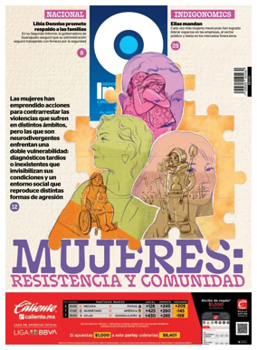 Cover of Reporte Indigo Nacional